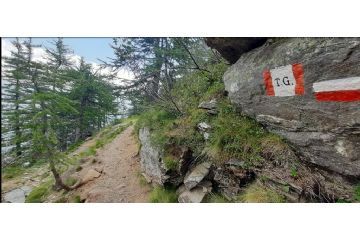 Particolare del primo tratto di mulattiera poco oltre i ruderi di Grange Marzo (foto: M. Caparello)