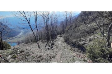 Tratto di percorso sulla pista tagliafuoco a breve distanza dalla Cappella Tirabò. L'imbocco della Val Cenischia sullo sfondo (Foto: M. Caparello)
