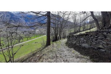 Scorcio iniziale della splendida mulattiera tra i castagni secolari, con gli edifici dell’Abbazia della Novalesa sullo sfondo. (foto: M. Caparello)